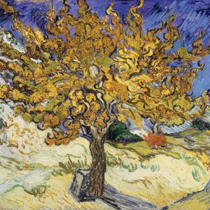 پازل 1000 تکه ریکوردی طرح درخت توت ونگوگ