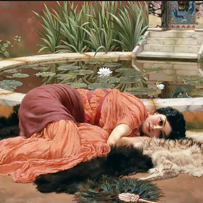 پازل 1000 تکه ریکوردی دختر نیلوفری