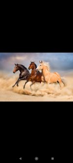 پازل 1000 تکه ریکوردی طرح HORSE IN THE DESSERT