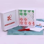 روبیک 3×3 دایان زانچی مگنت ورژن 5 فنسی - Image 3