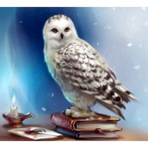 نقاشی الماسی طرح هدویگ – الماس AB